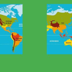 Art hors Afrique et Europe